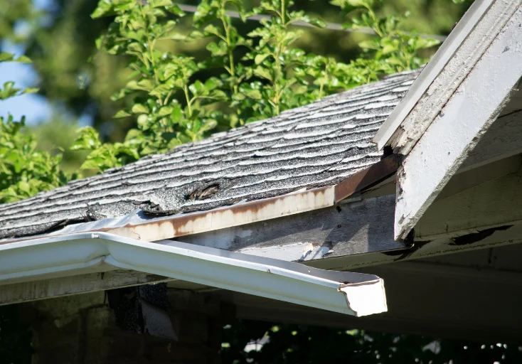 Rocklin gutters